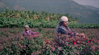 Malar (2025)