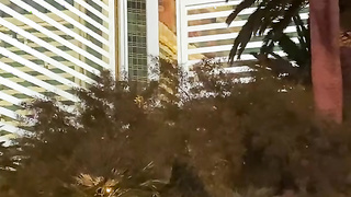 Manuel Ferrara Malena nazionale