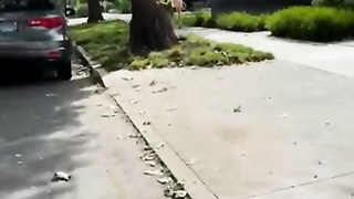 BLAKE BLOSSOM - POV RECOGNISED BY FAN