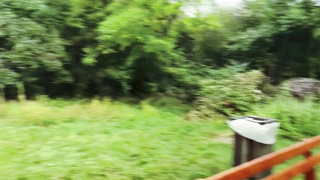 Open the ass for a stranger in the car1