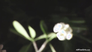 Sasha White lingerie