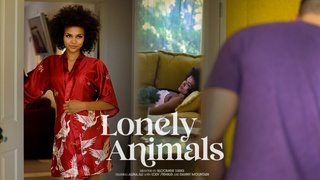 Lonely Animals – Alina Ali