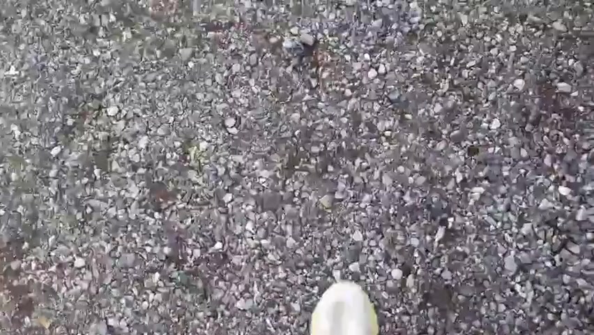 Stepmom Helps Me Move For College