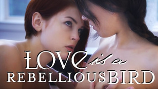 Love is a Rebellious Bird – Shyla Jennings, Bree Daniels