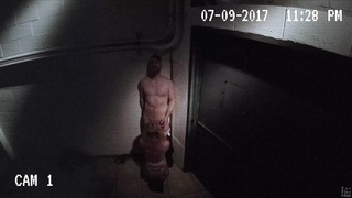 The Alley – Mr. And Mrs. Wylde