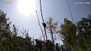 [NITR-011] Sons, Embrace Your Mother Stepmother Fighting Over Son