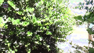 Fugitivo - pt 1 de 5 - Lily Rader