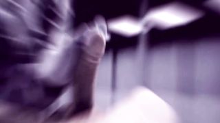 Magenta Night - SFM Music Compilation