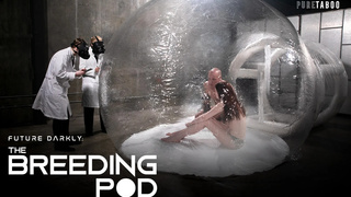 Future Darkly: The Breeding Pod