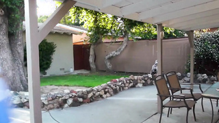 Jennifer Anderson - lil redheads who ride monster black dicks