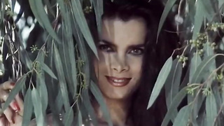 Selen the Perfect Lover (1993) Vintage (Rocco)