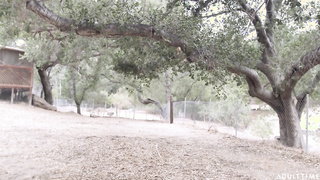 Jane Wilde.Jaye Summers - Bad influence lesbians