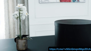 De dónde has sacado el dinero. Sub esp