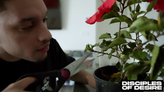 Ashley xxx - Gets Fucked By Her Neighbor Thugger rq